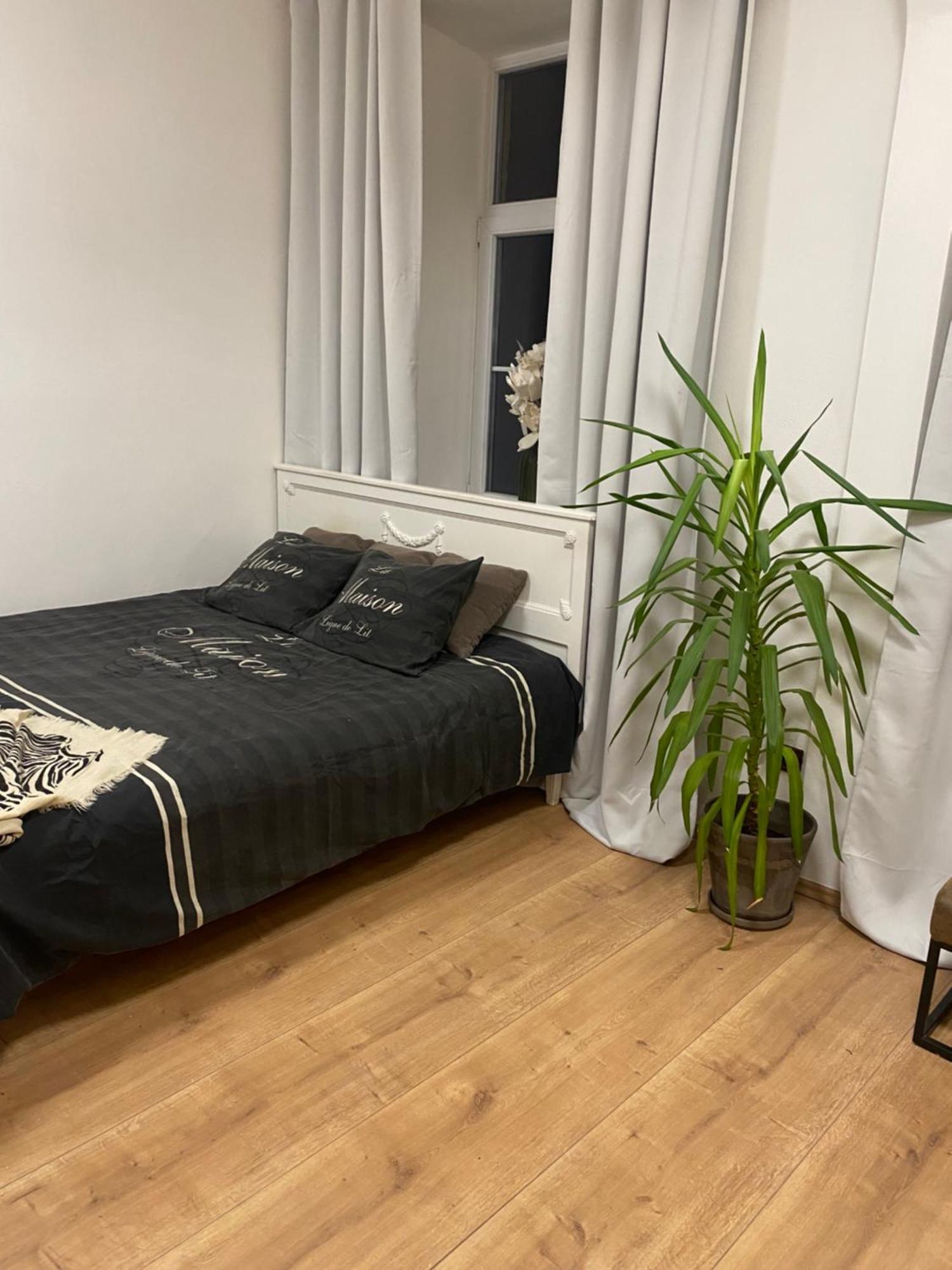 Apartman Trznice Olomouc Exterior foto